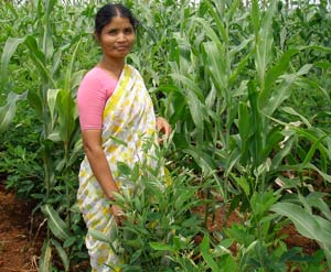 Indianwomanfarmer