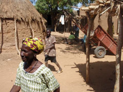 Malian Village