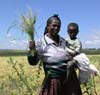 Ethiopian farmer2